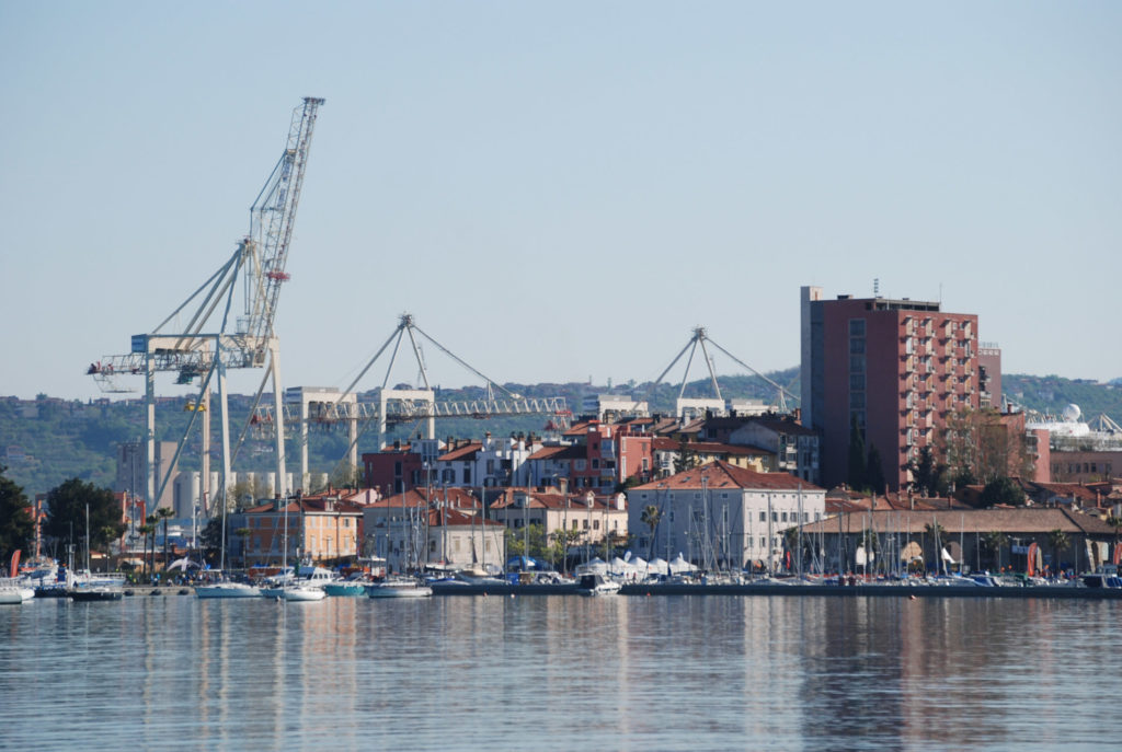 Rok Koper